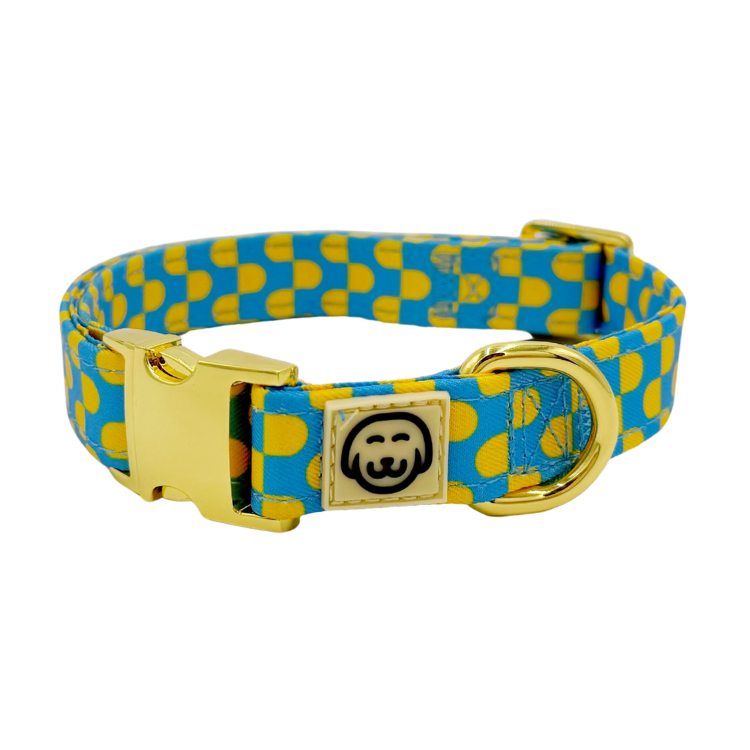 Sunrise - Adjustable Dog Collar