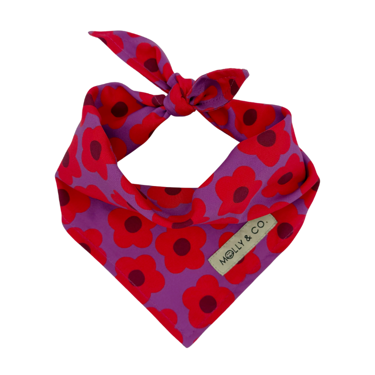 Mon Chéri - Reversible Dog Bandana