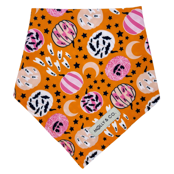 Pumpkin Star - Reversible Dog Bandana