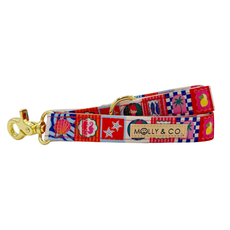 Amalfi - Dog Leash