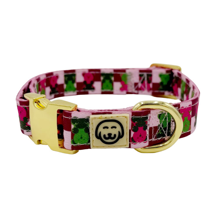 Gummy Bears - Dog Collar