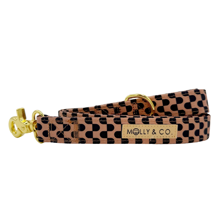 Moonrise - Dog Leash