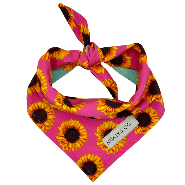 Sunflowers - Reversible Dog Bandana