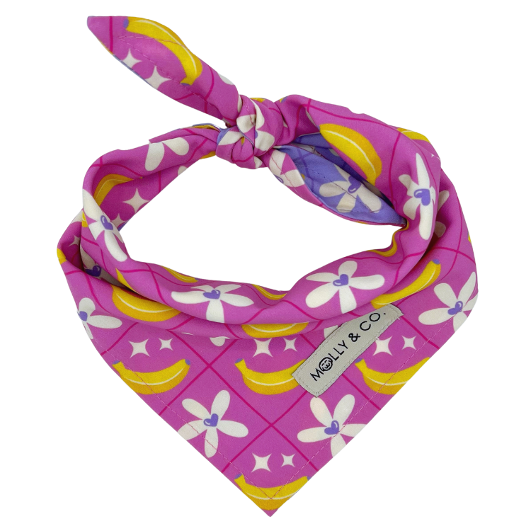 Barkie World - Reversible Dog Bandana