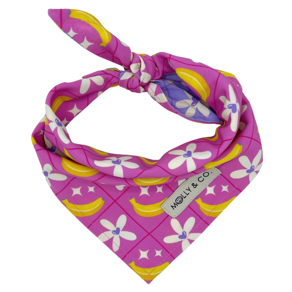 Barkie World - Reversible Dog Bandana