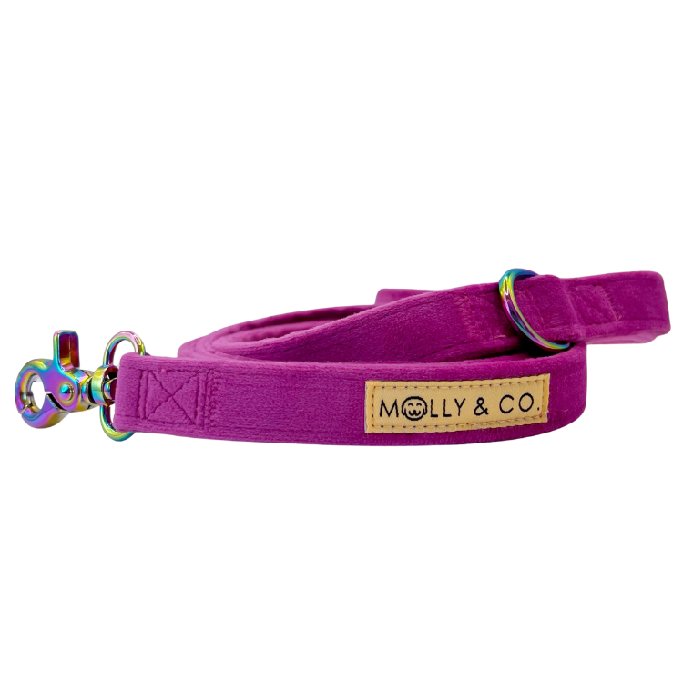 Plum Velvet - Dog Leash