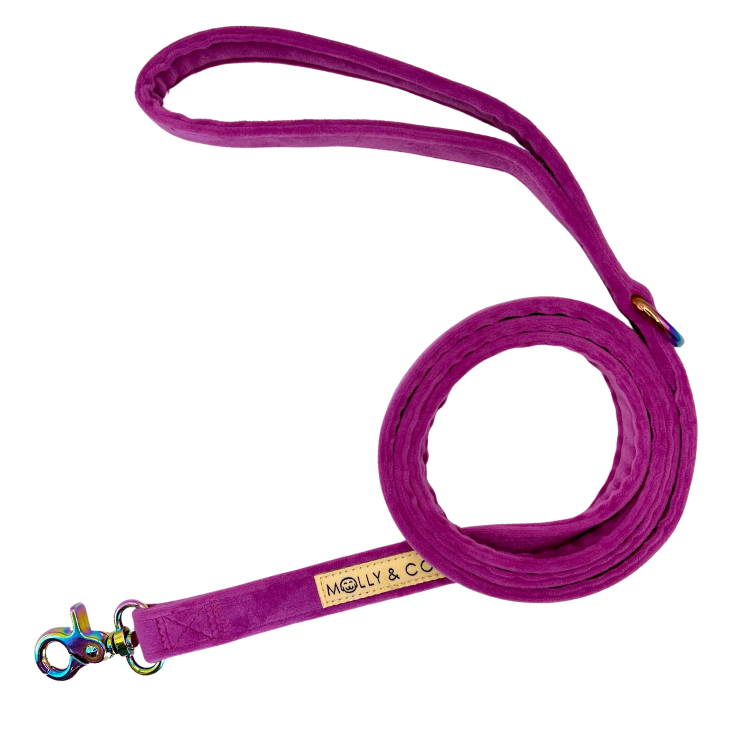 Plum Velvet - Dog Leash