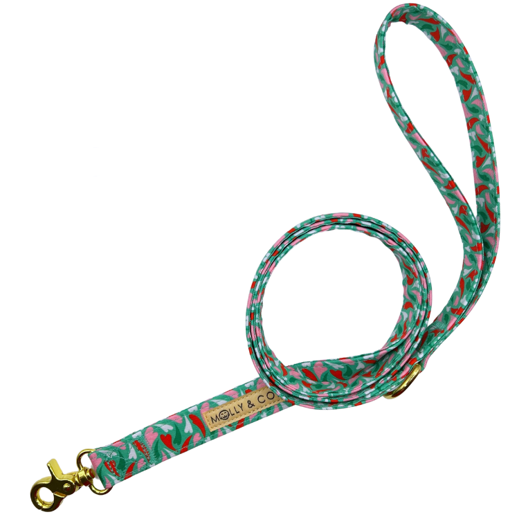 Amore - Dog Leash
