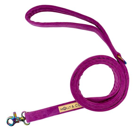 Plum Velvet - Dog Leash