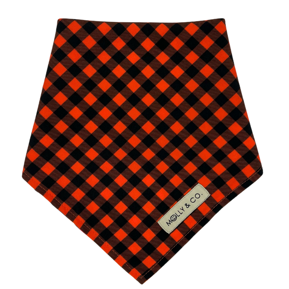 Boo! - Reversible Dog Bandana