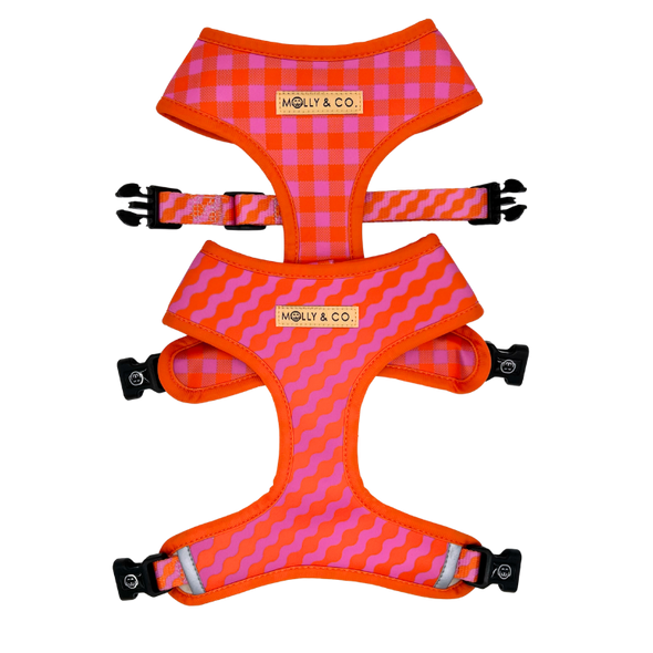 Mango - Reversible Dog Harness