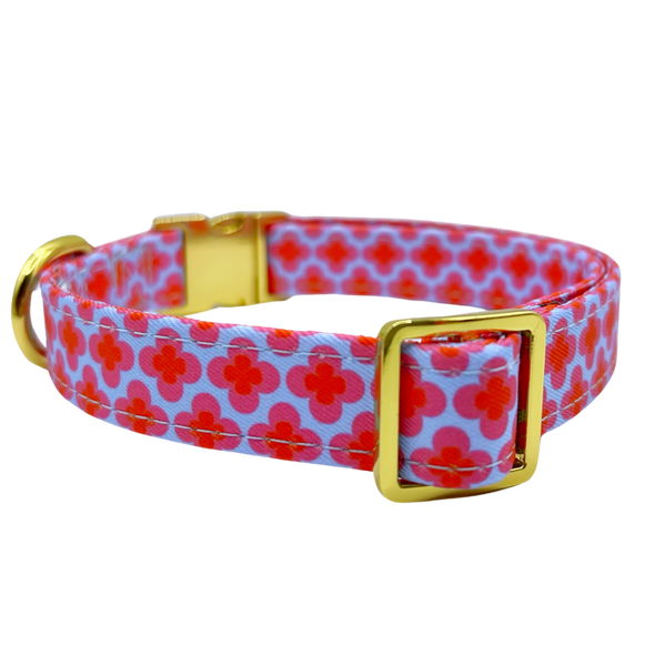 Venezia - Dog Collar