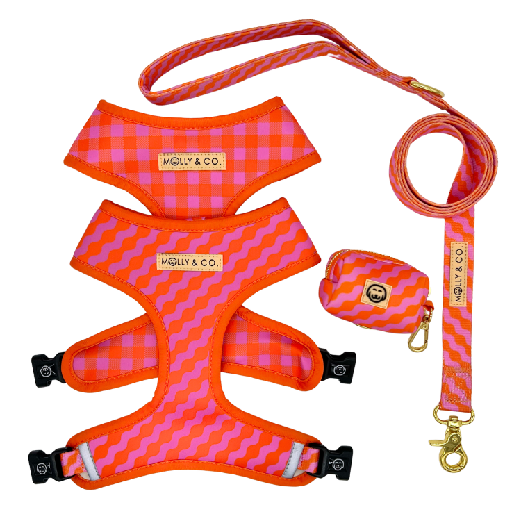 Mango - Walking Bundle