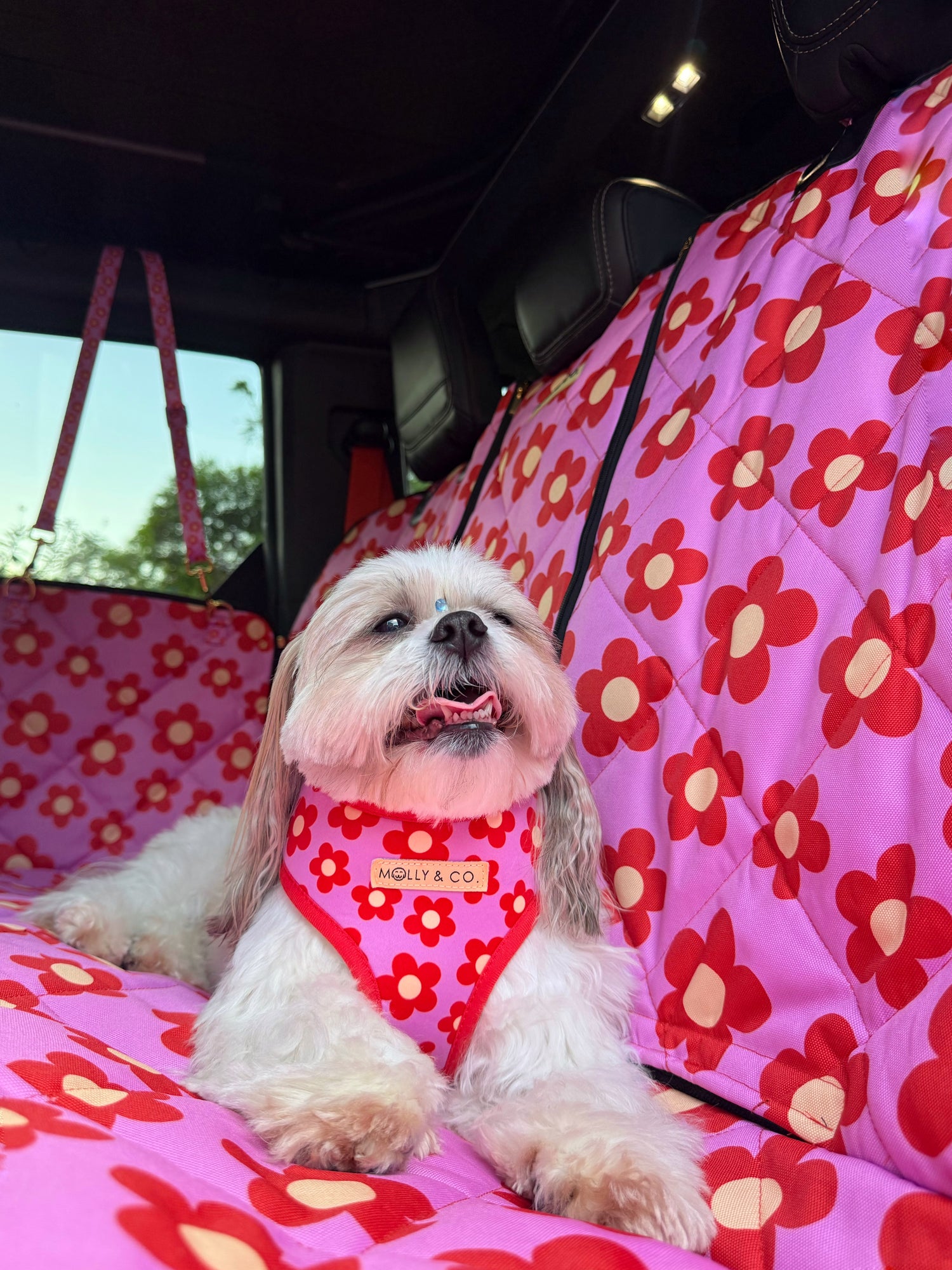 Wildflower - Dog Car Seat Cover