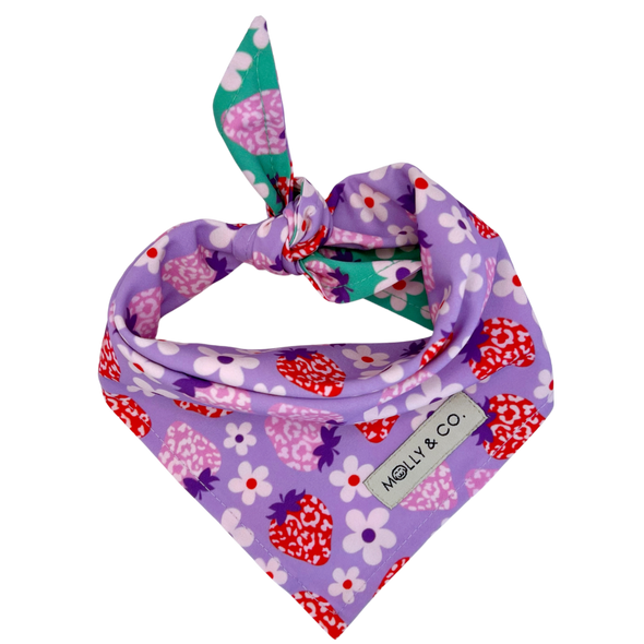 Strawberry - Reversible Dog Bandana