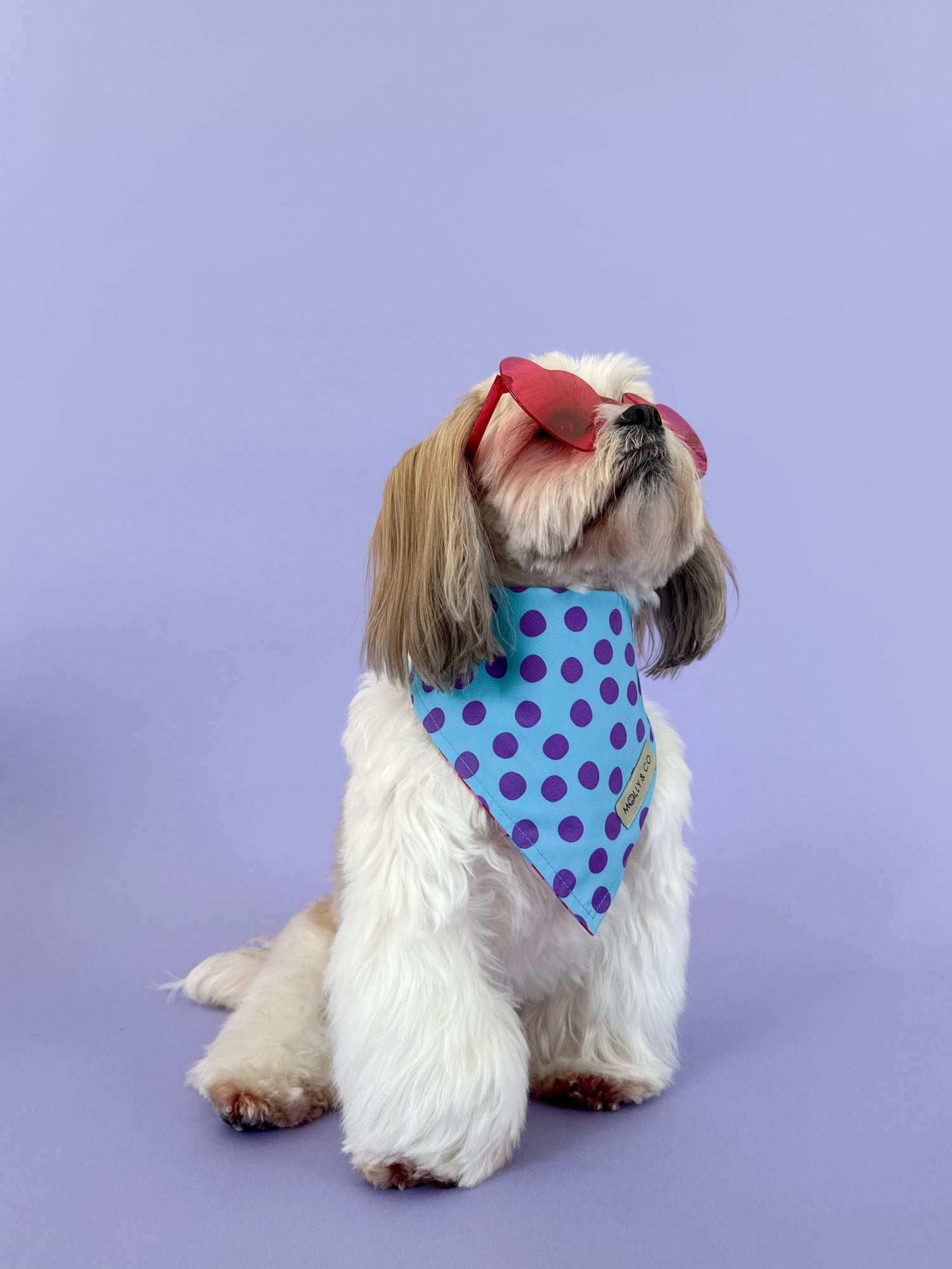Supernova - Reversible Dog Bandana