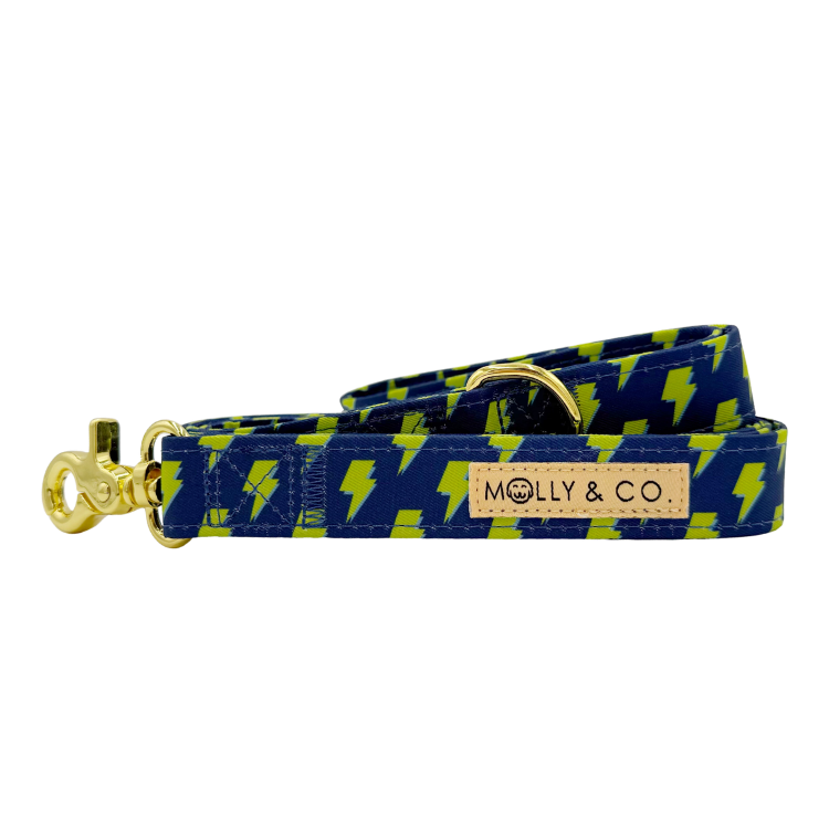 Bolt - Dog Leash