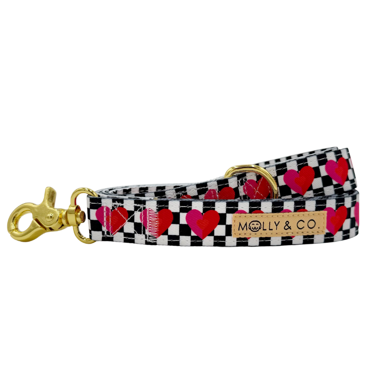 Lovebug - Dog Leash