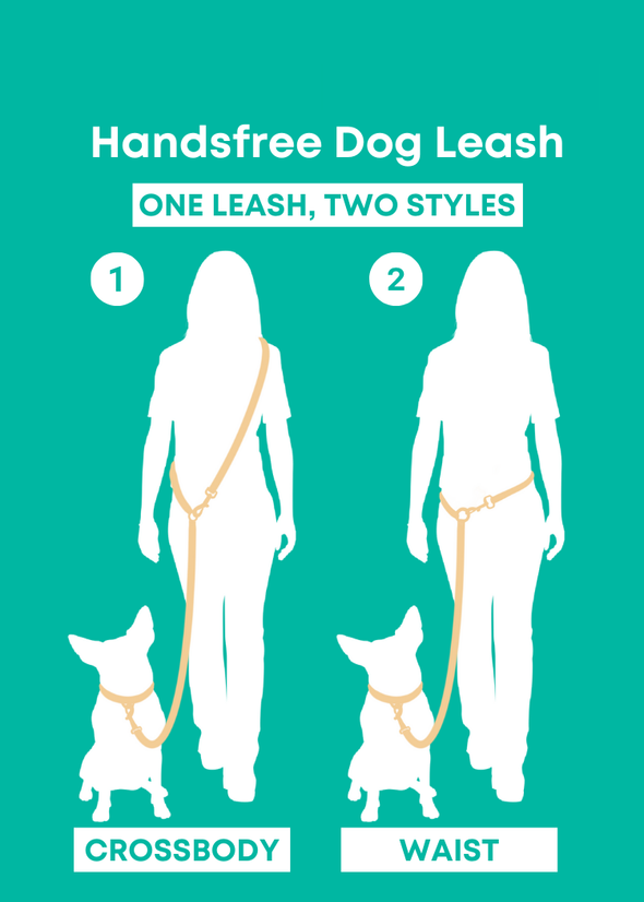 Sand - Splashproof Handsfree Dog Leash