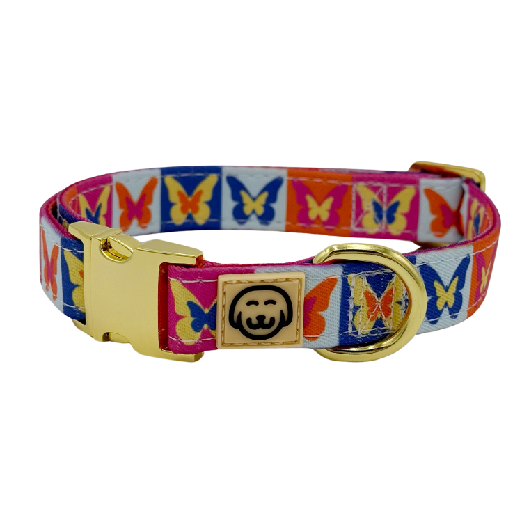 Mariposa - Dog Collar