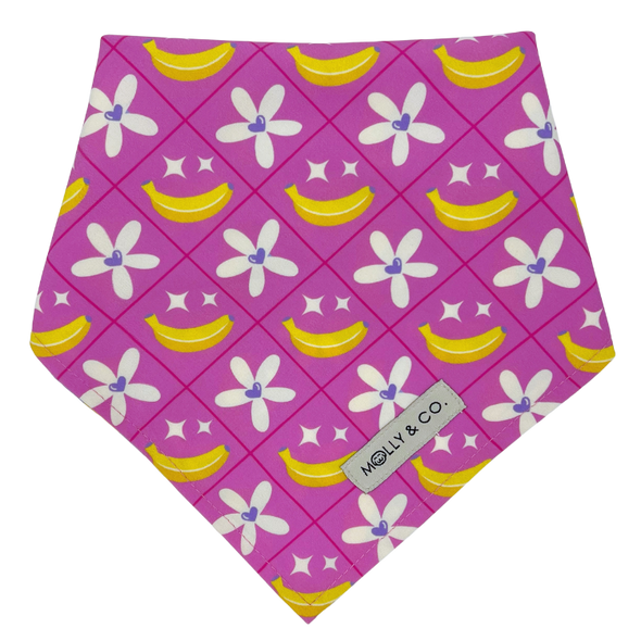 Barkie World - Reversible Dog Bandana