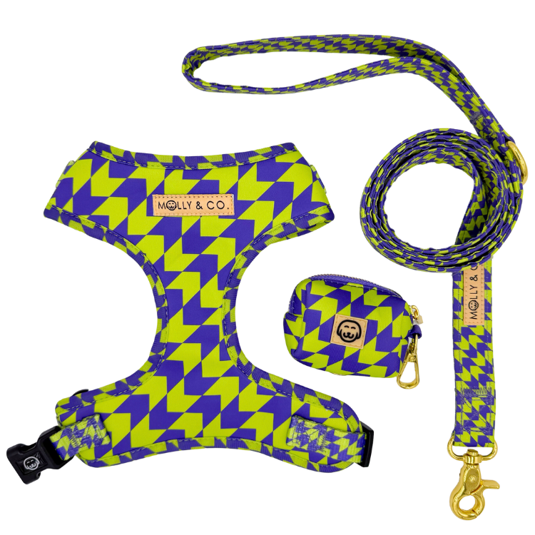 Fetch Master - Walking Bundle