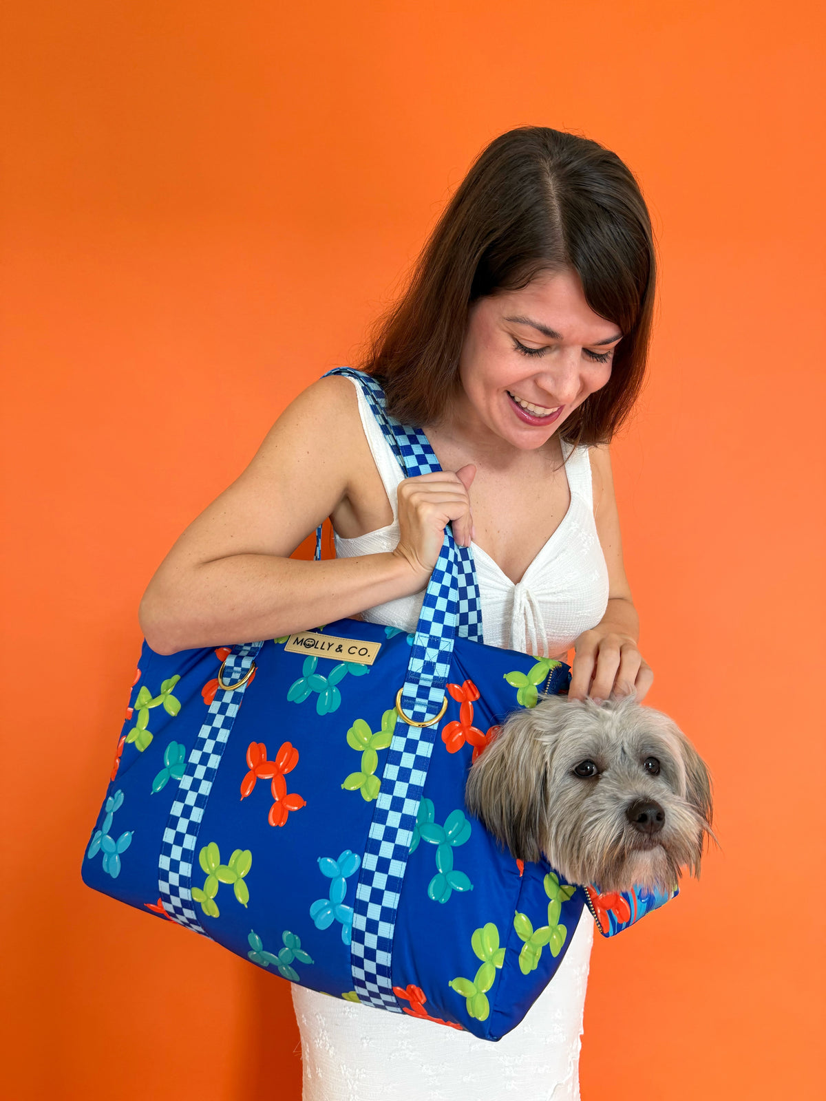 Neon Pop - Dog Travel Bag