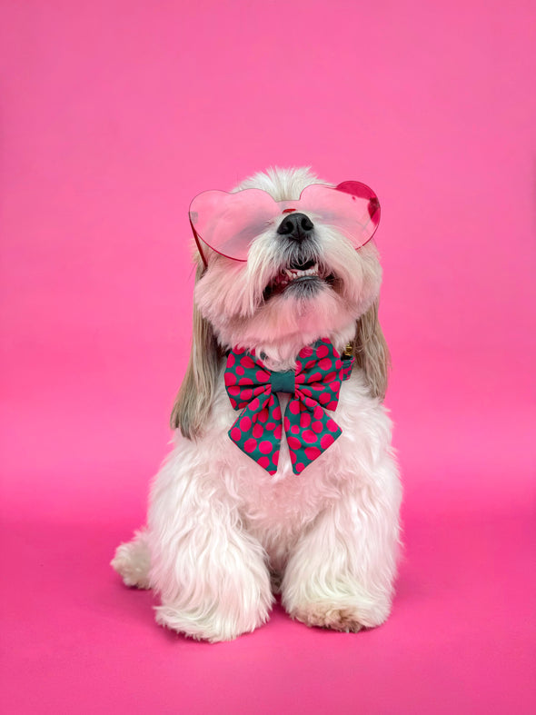 Polka Dogz - Dog Sailor Bowtie