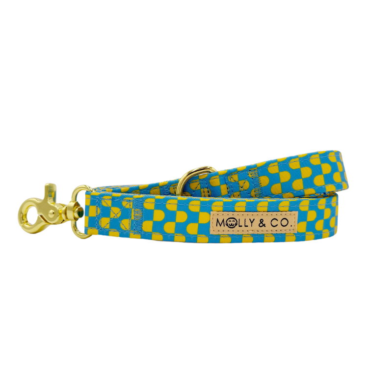 Sunrise - Dog Leash