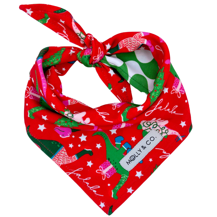 Merry Dinos - Reversible Dog Bandana
