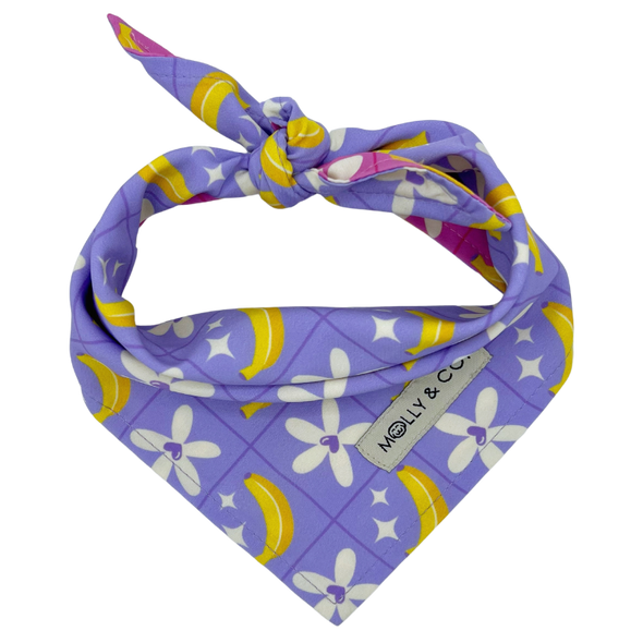 Barkie World - Reversible Dog Bandana