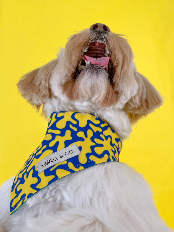 Neptune - Reversible Dog Bandana