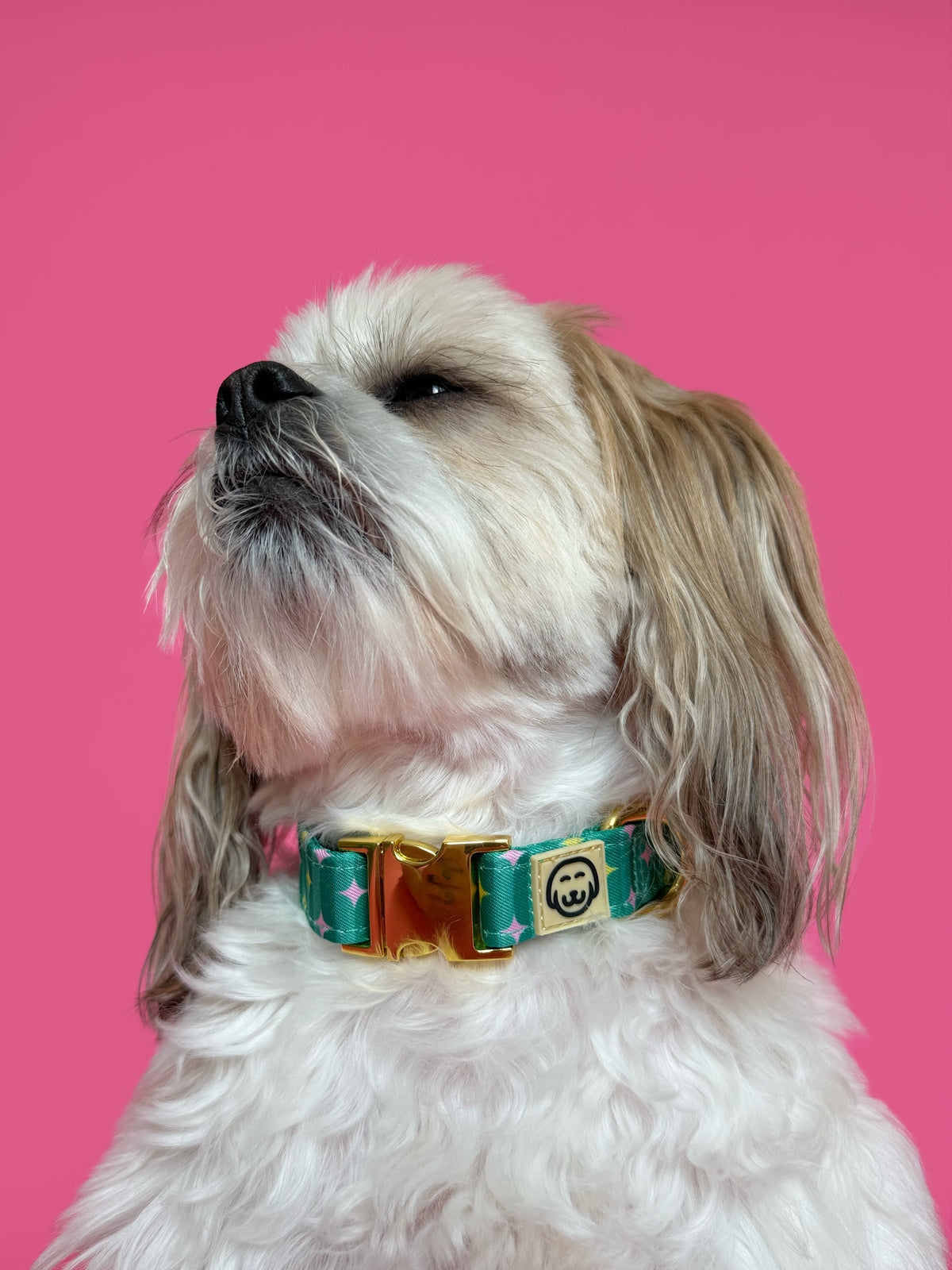 Misty - Adjustable Dog Collar