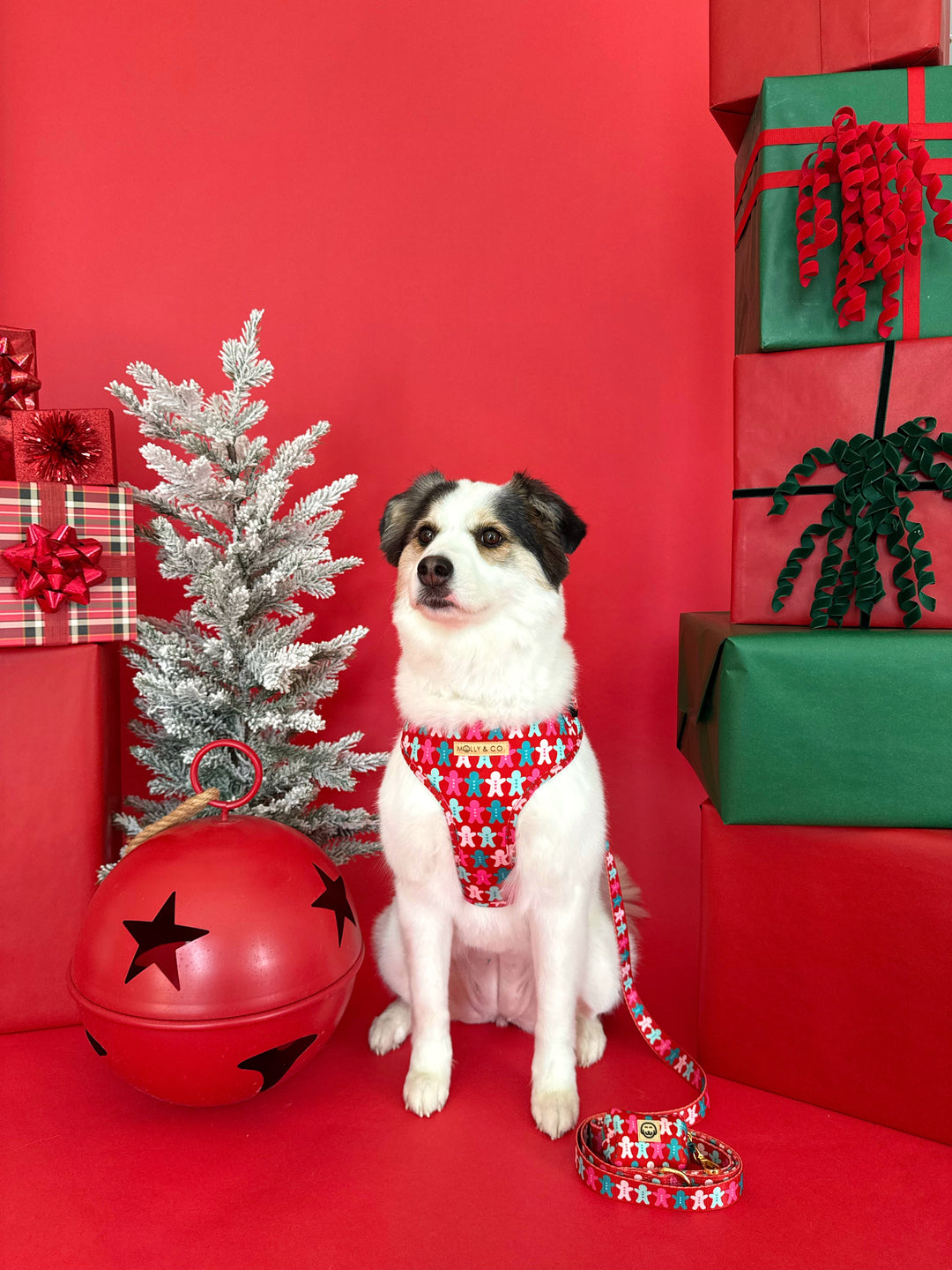 Gingerbread - Adjustable Dog Harness