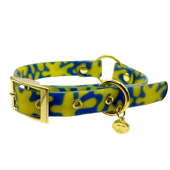 Neptune - Splashproof Dog Collar