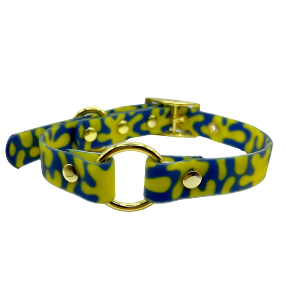 Neptune - Splashproof Dog Collar