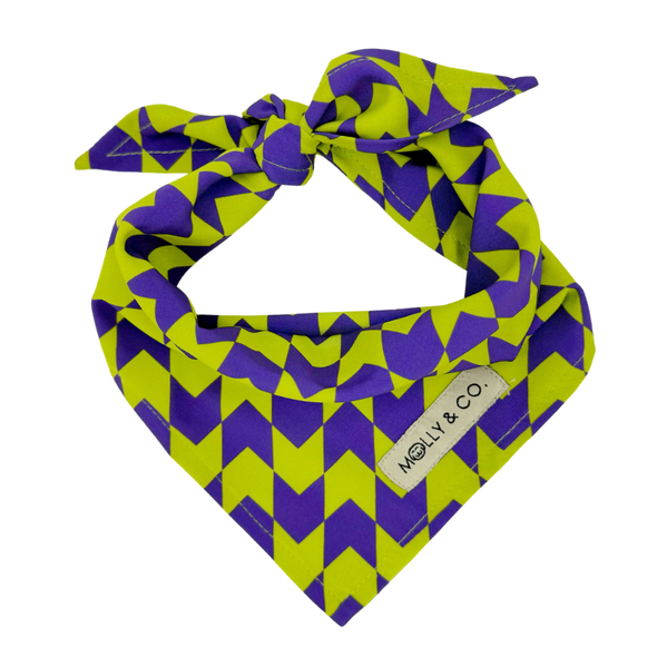 Fetch Master - Dog Bandana