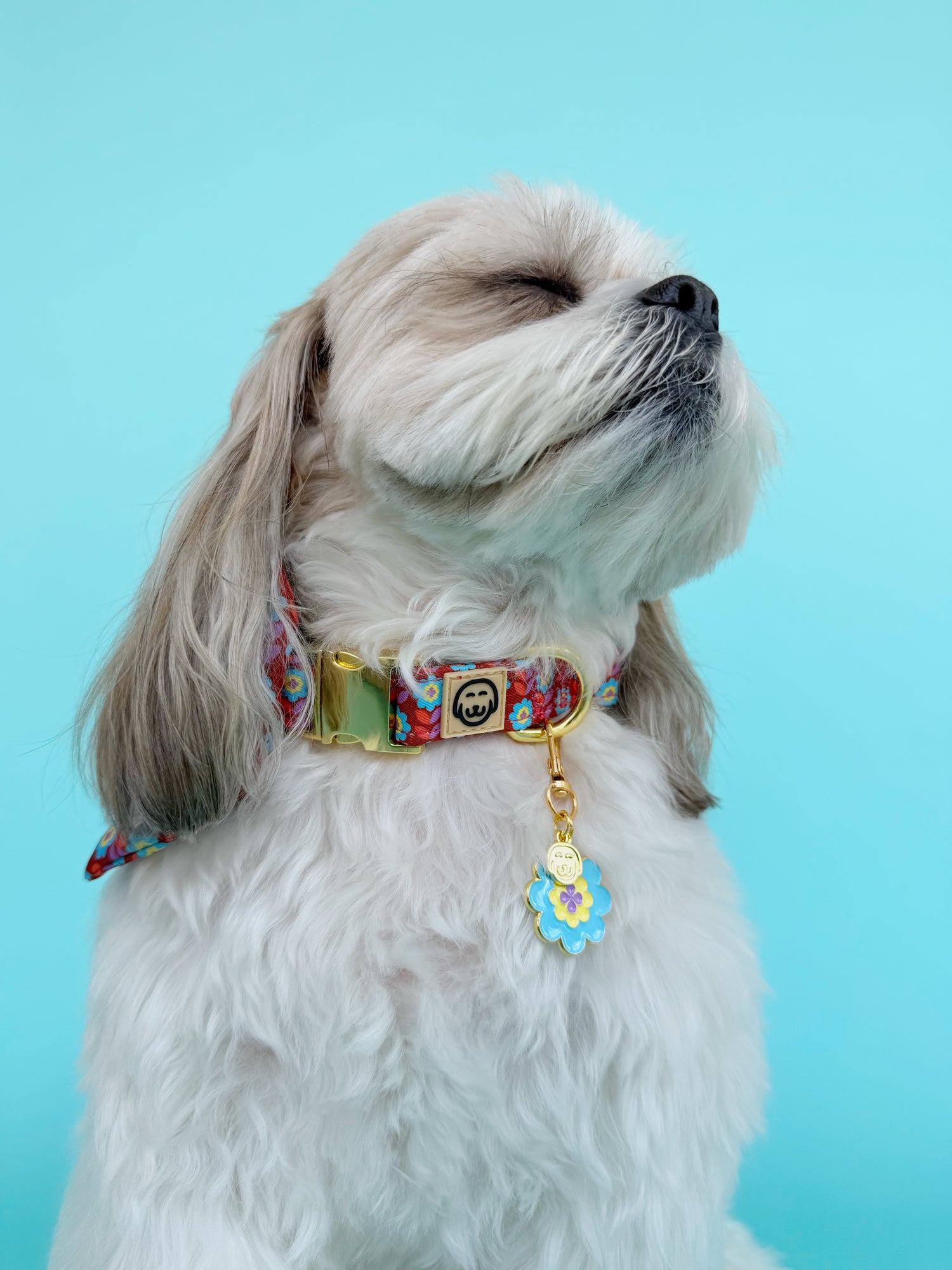 Poppy - Collar Charm