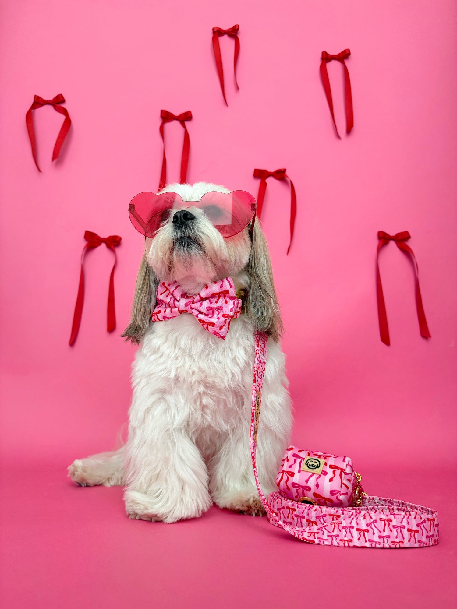 Coquette - Dog Poop Bag Holder