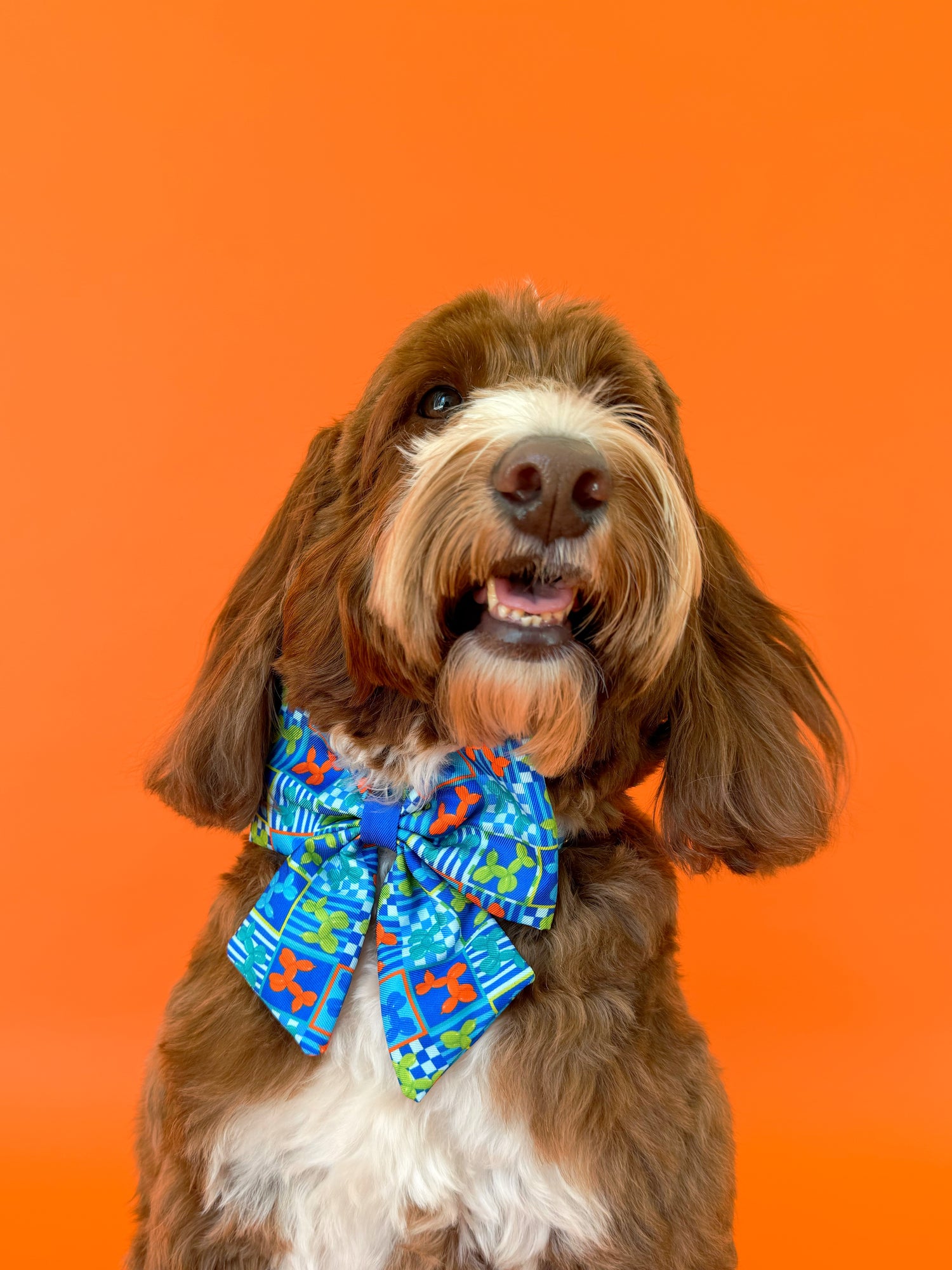 Neon Pop - Dog Sailor Bowtie