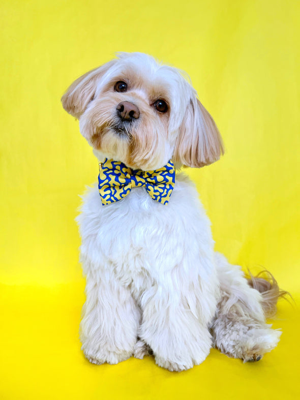 Neptune - Dog Bowtie