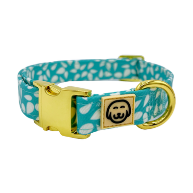 Seafoam - Dog Collar - FINAL SALE