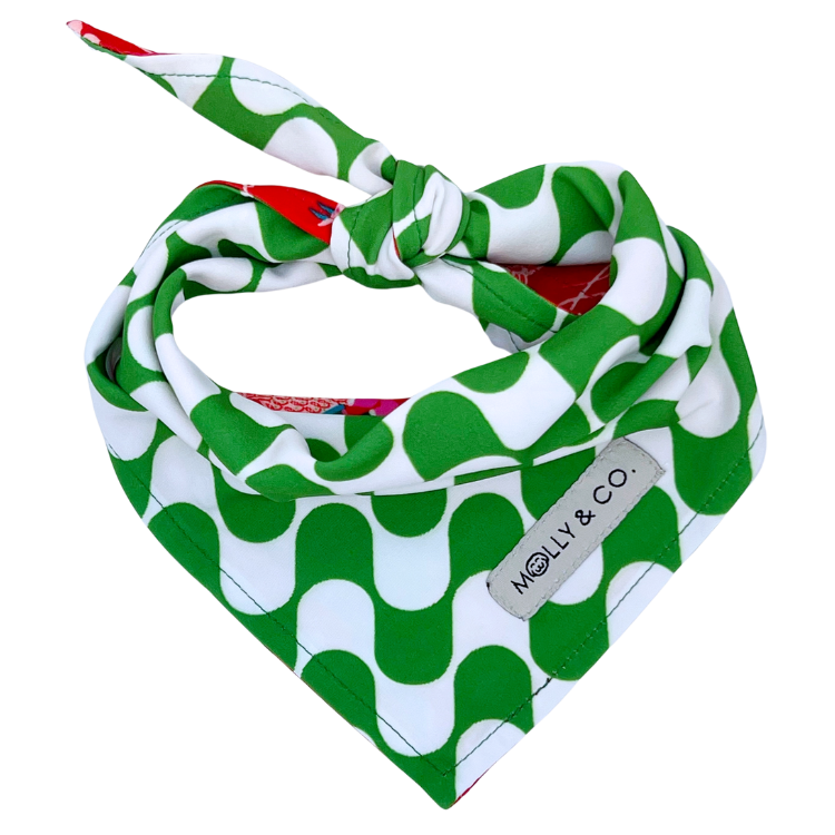 Merry Dinos - Reversible Dog Bandana