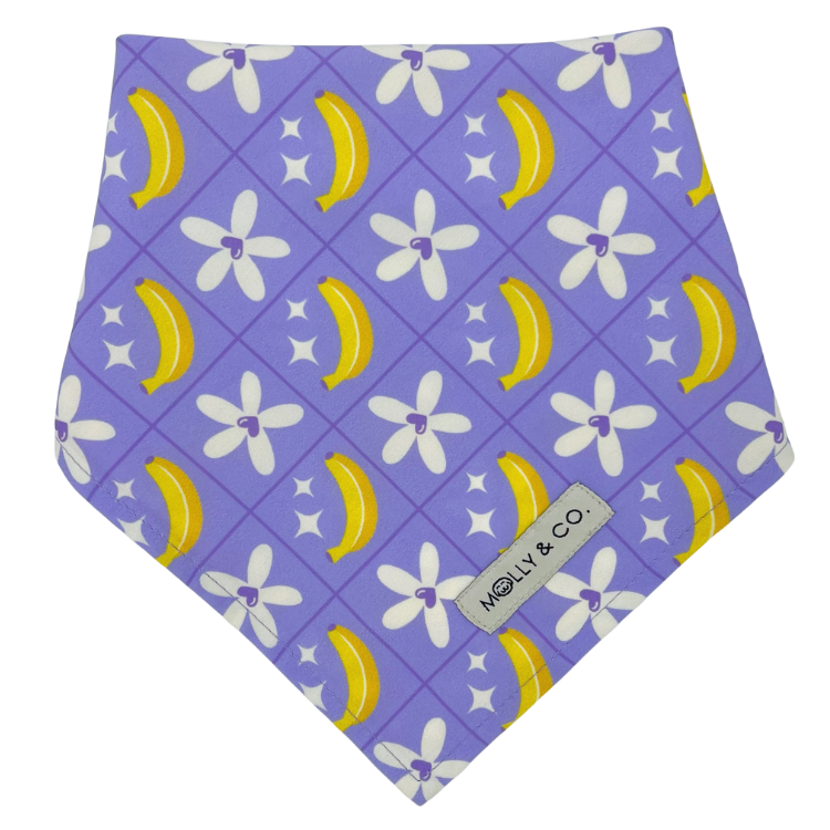 Barkie World - Reversible Dog Bandana