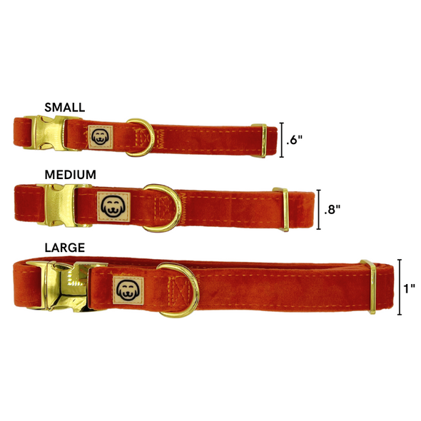 Tangerine Velvet - Dog Collar