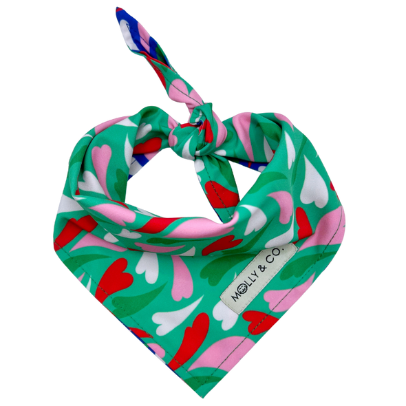 Amore - Reversible Dog Bandana