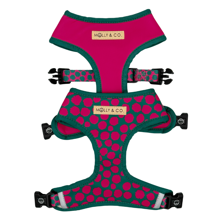 Polka Dogz - Reversible Dog Harness