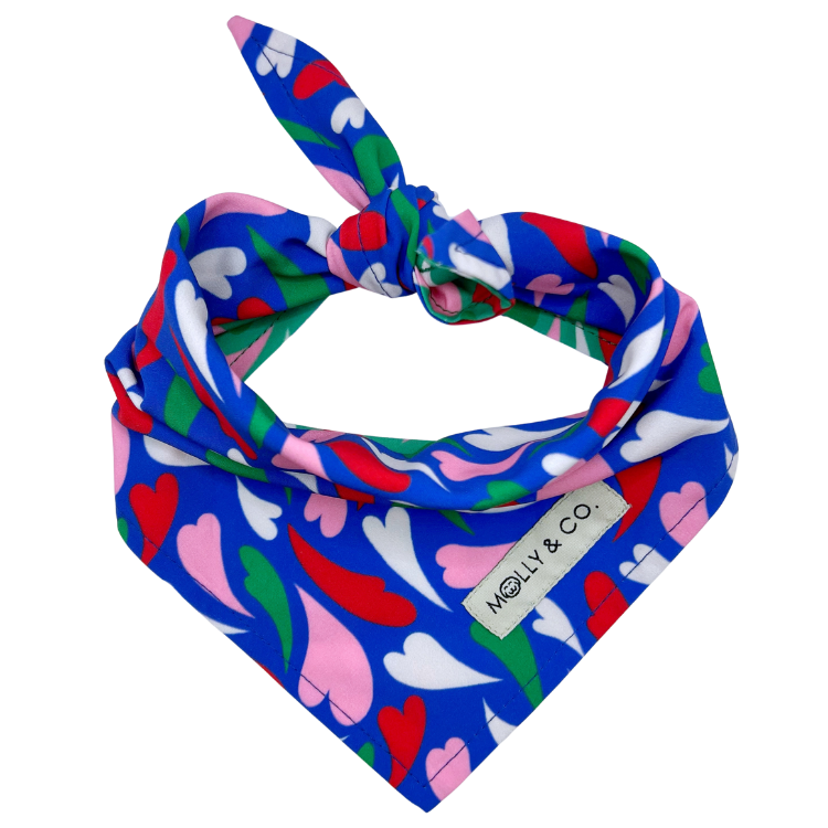 Amore - Reversible Dog Bandana
