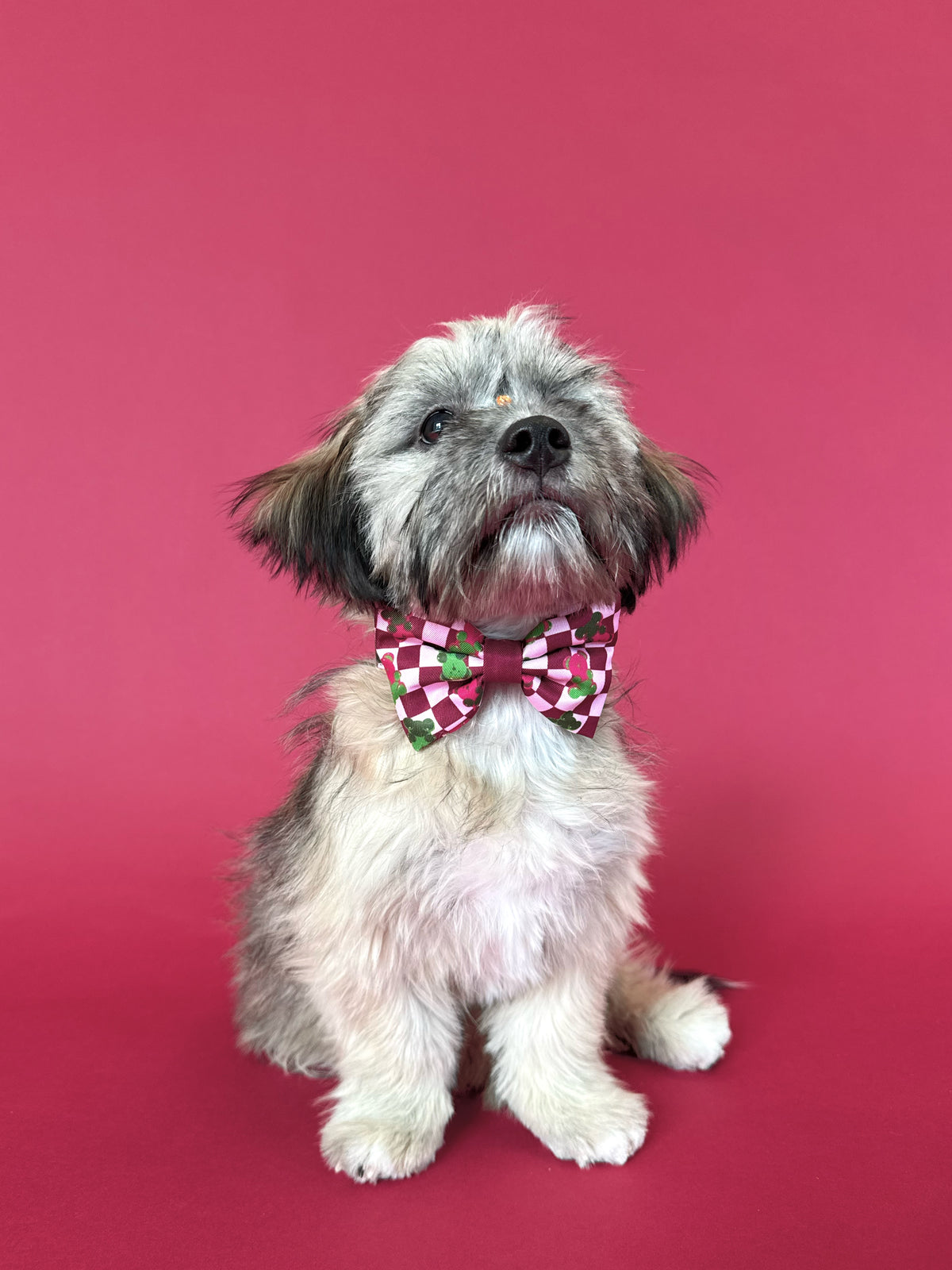 Gummy Bears - Dog Bowtie