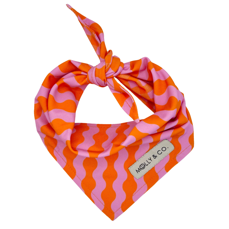 Mango - Reversible Dog Bandana